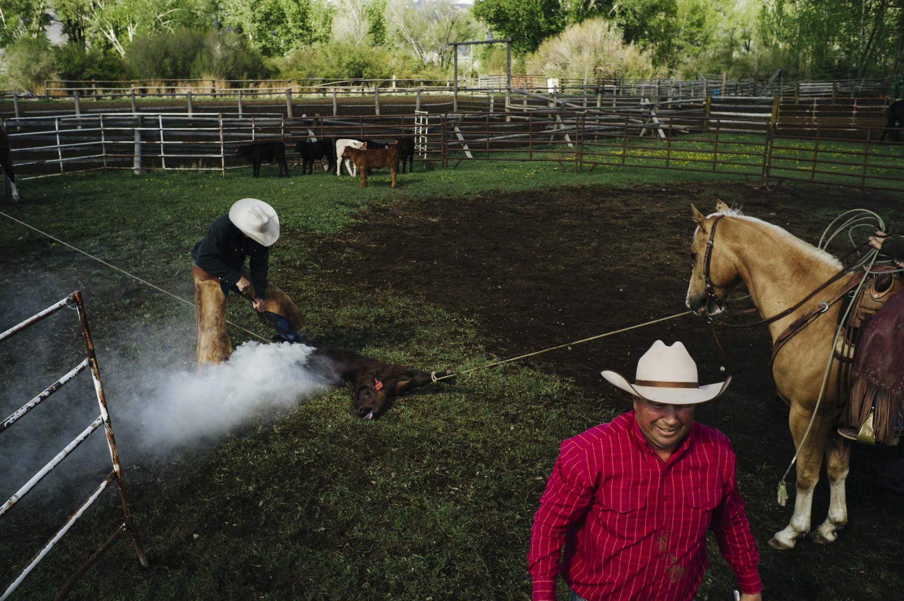 Western 5